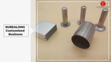 SUREALONG Customized Business