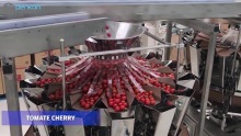 10 /14 Head Weigher / Multi Head Scale Weighing Machines