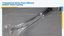 Wholesale Transparent Bone From Silicone Rubber Mold Casting with good price - 3D SHAPING