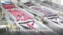 Food Processing Industry