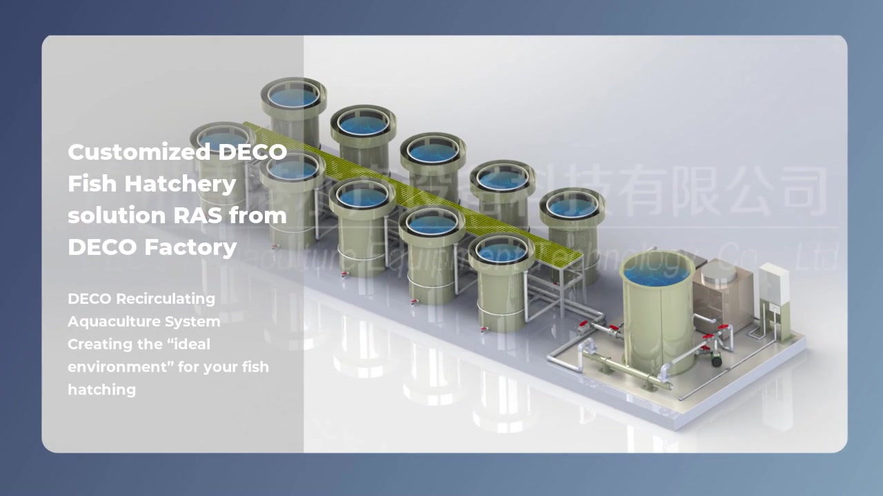 Soluzione personalizzata DECO Fish Hatchery RAS di DECO Factory