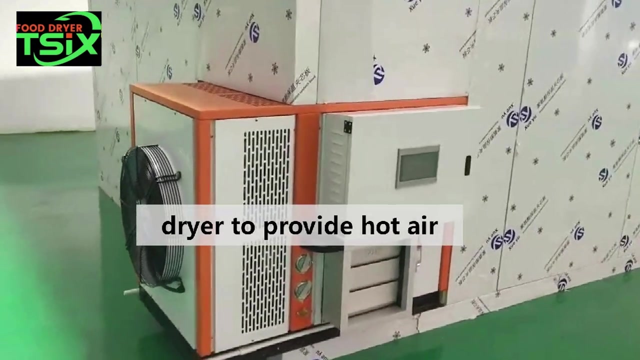 Máquina de secado de frutas personalizada para secar albaricoque Apple Figs DPHG050S-G fabricantes de China