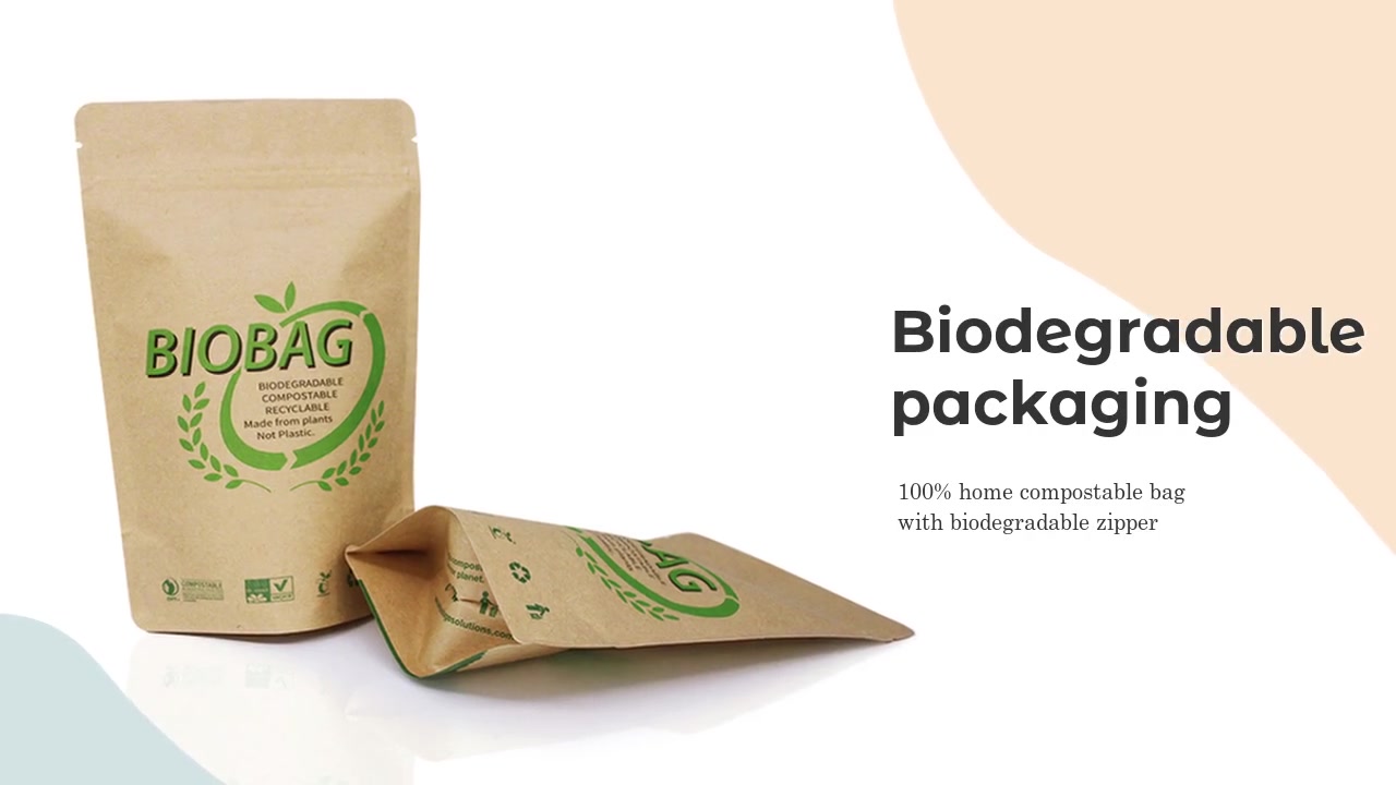 RSH Packaging Wholesale Custom Printed Kraft Paper Bag Biodegradable Packaging Manufacturer