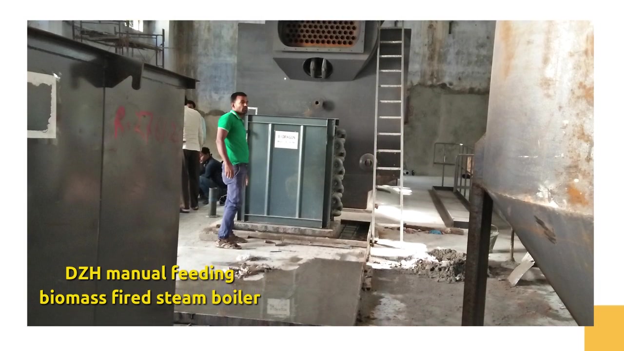 DZH Biomass Fired Steam Boiler Manual Feeding