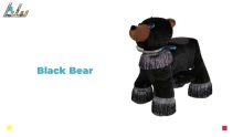 Black Bear