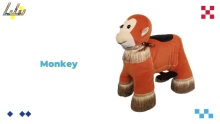 Monkey