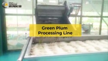 Green plum processing production line