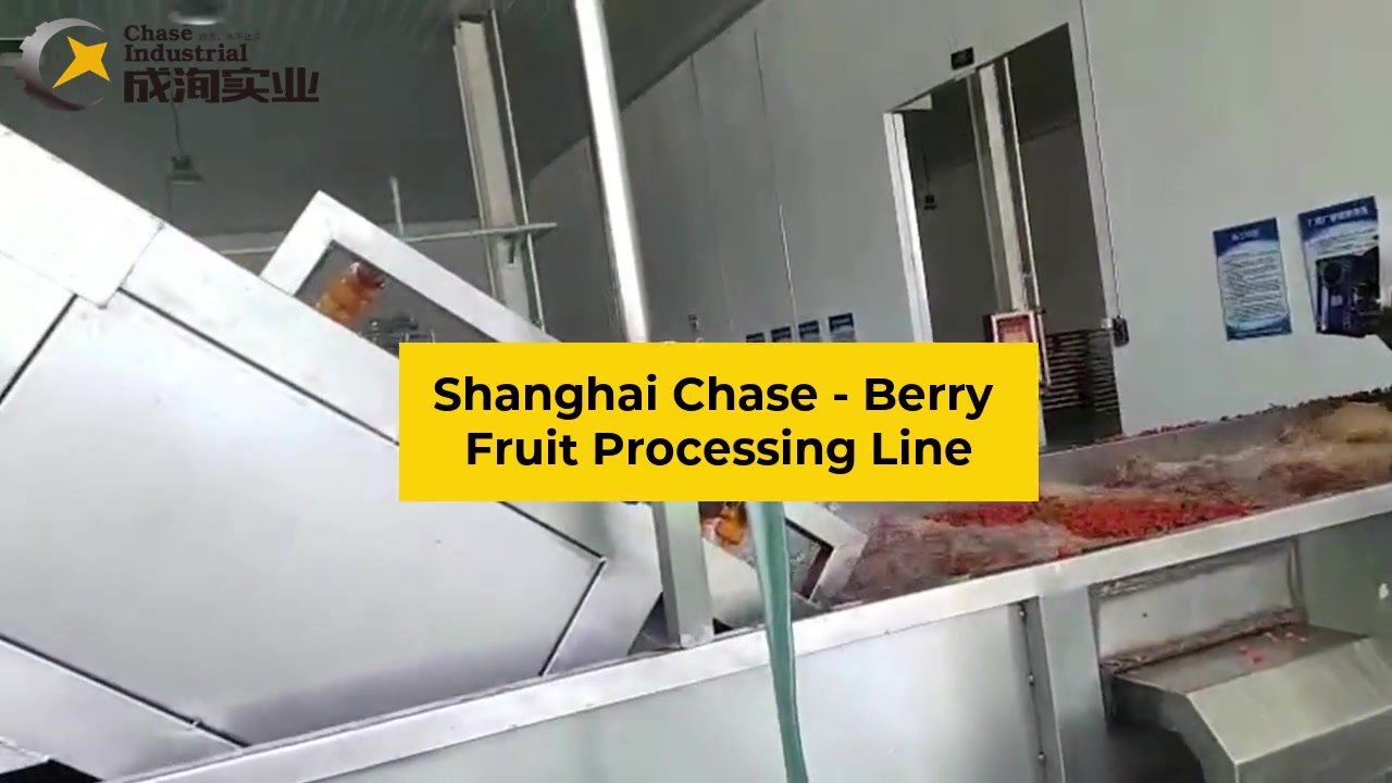 Dây chuyền sản xuất nước quả mọng chất lượng cao và nhất quán cho quả dâu tây từ Thượng Hải, Trung Quốc