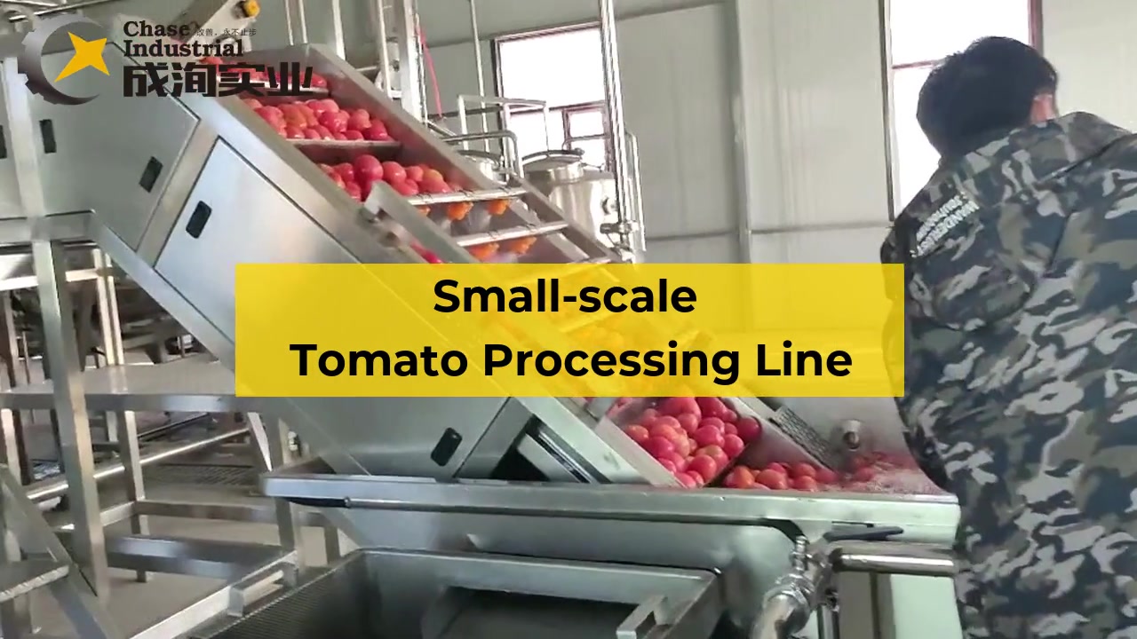 خط معالجة معجون الطماطم على نطاق صغير في الصين