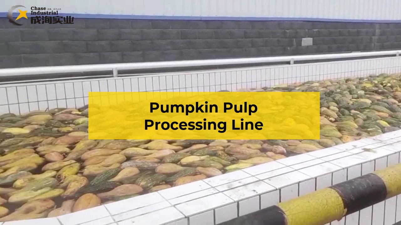 5T/H High quality pumpkin pre-processing lines from CHASE- Hebei China 2021
