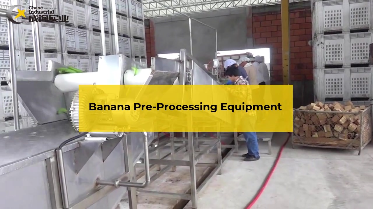 Garis pra-pemrosesan pisang berkualitas tinggi dan stabil dari Shanghai, Cina