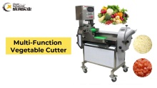 Multi-function vegetable cutter