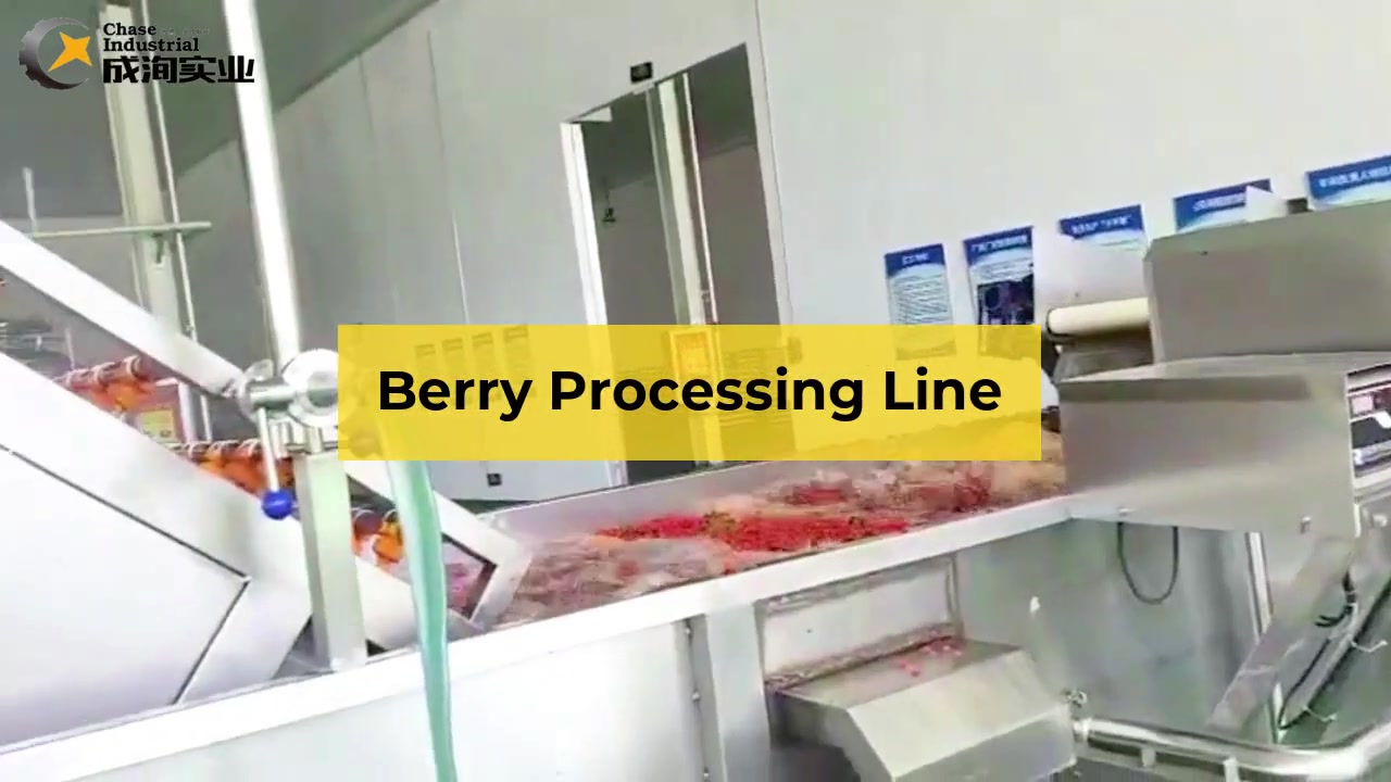 Línea de producción de jugo de Wolfberry Productos | Proveedor de CHASE& fabricantes | PERSEGUIR