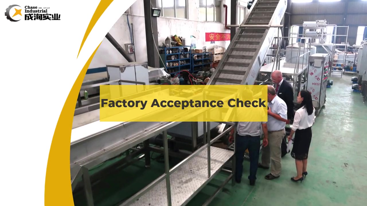 Línea de procesamiento de mango 2019 - Cheque de aceptación de fábrica