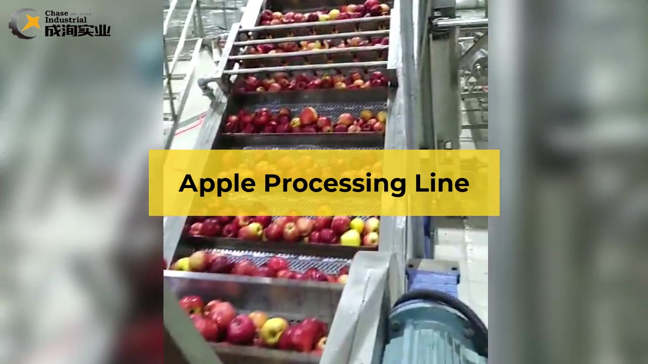 Cencentrated apple juice processing line