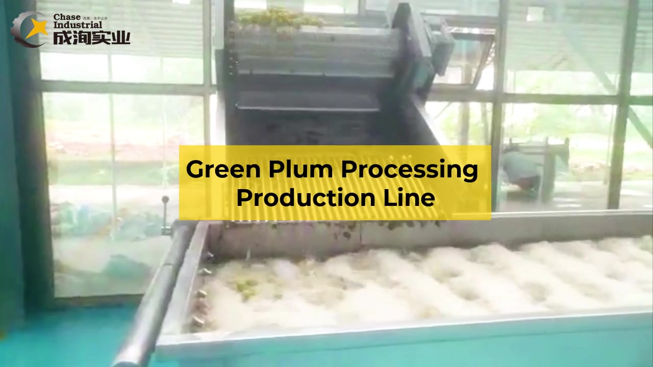 High quality and stable plum production lines and fruit and vegetable juice processing lines from Shanghai, China