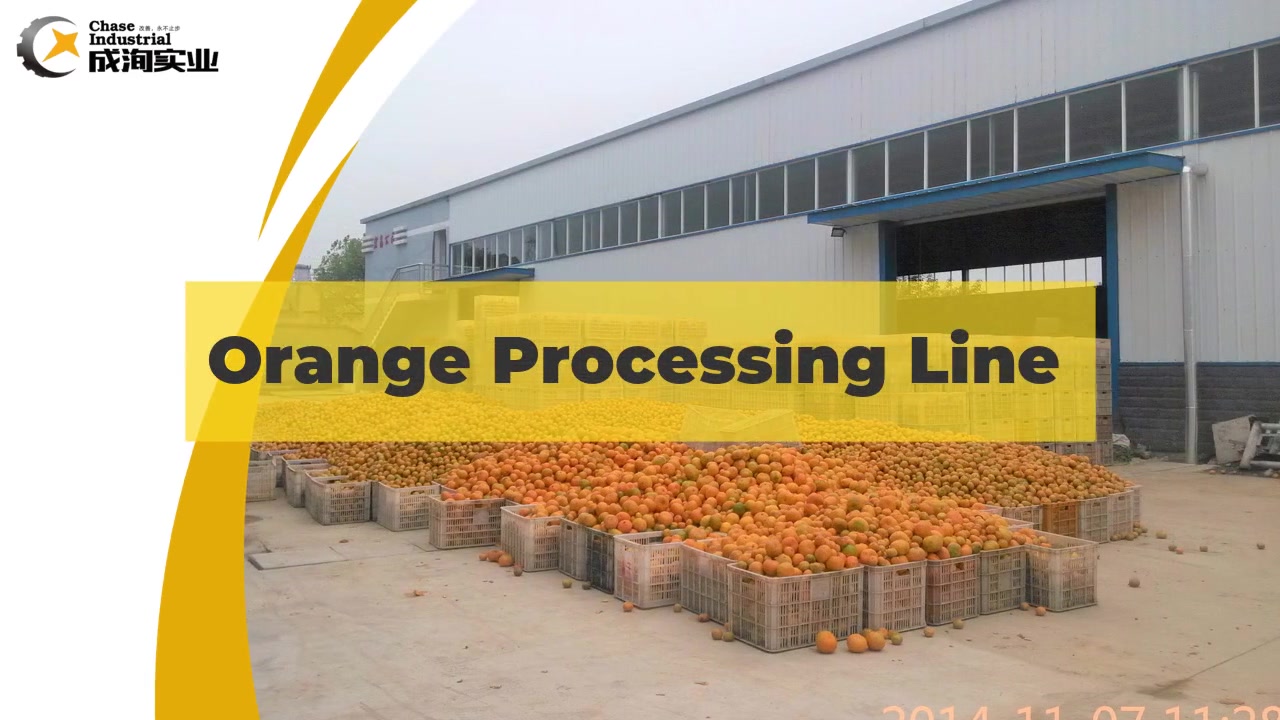 Linha de processamento de laranja