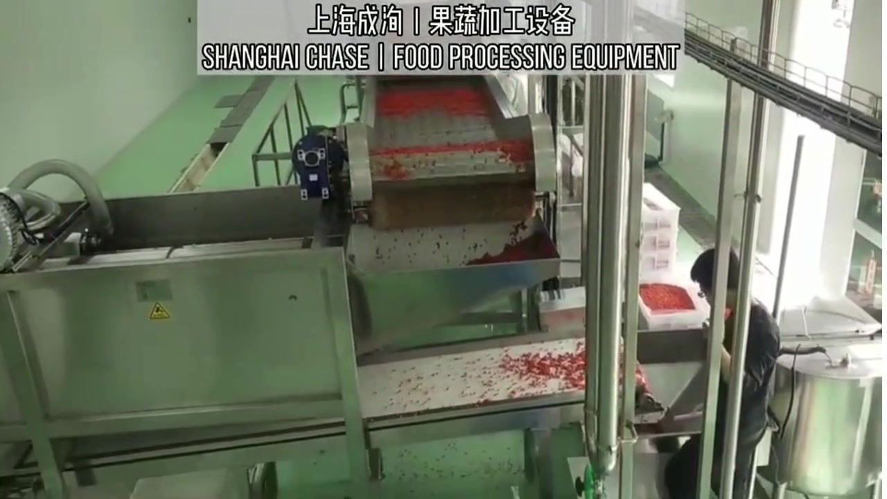 Ligne de production de jus de baies de haute qualité et constante pour les baies de goji de Shanghai, Chine