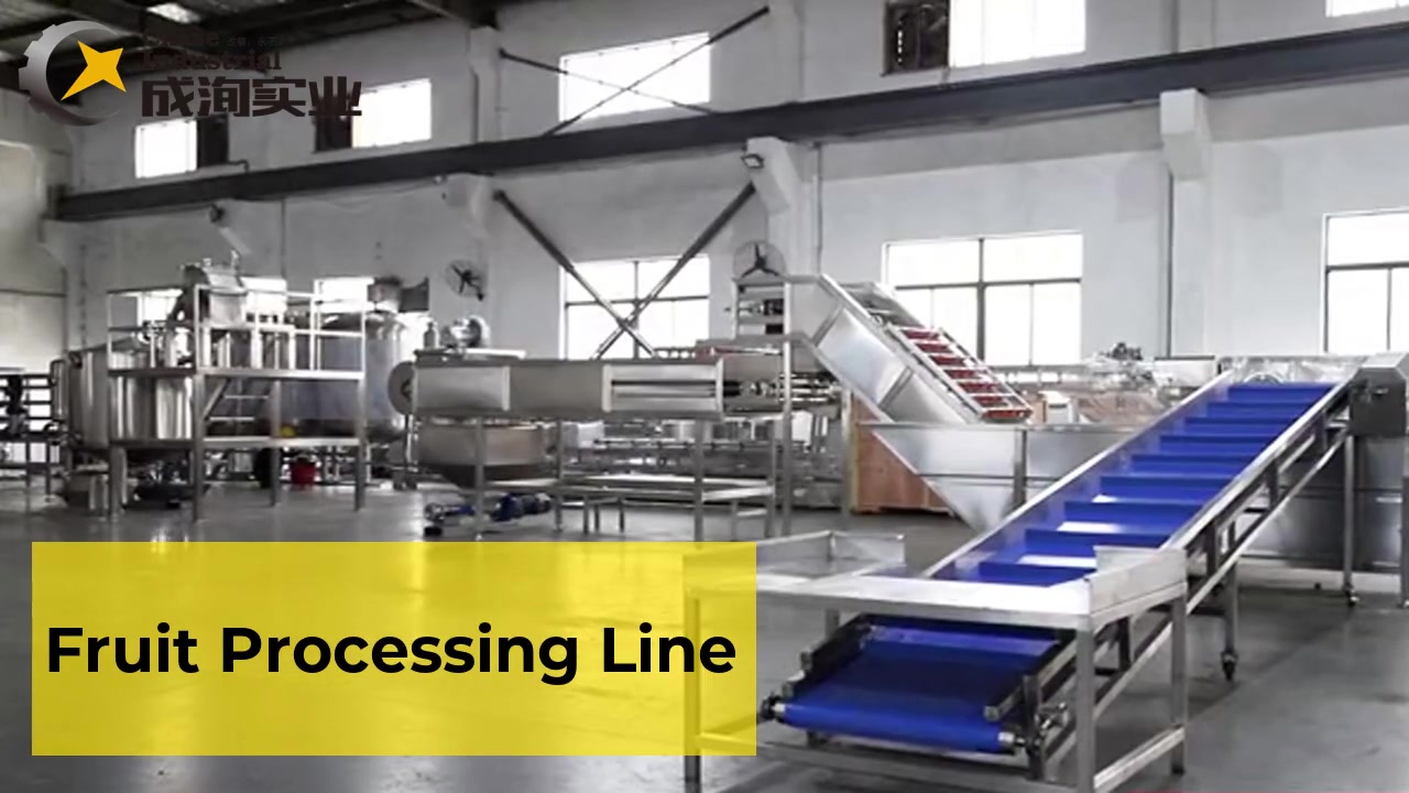 Best fruit and vegetable reprocessing line