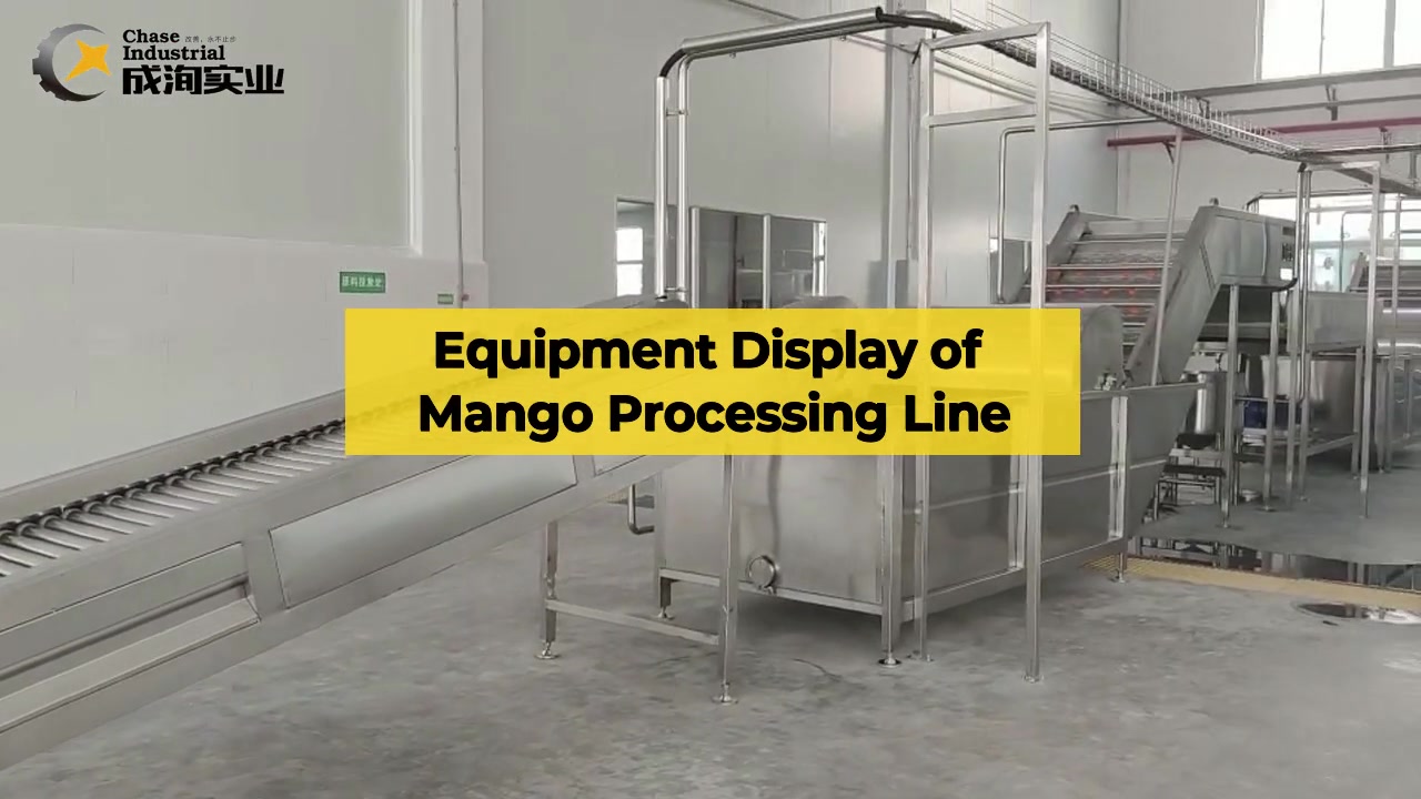 High quality and stable mango pulp lines and fruit and vegetable juice processing lines from Shanghai, China