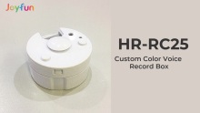 Custom Color Voice Record Box(HR-RC25)