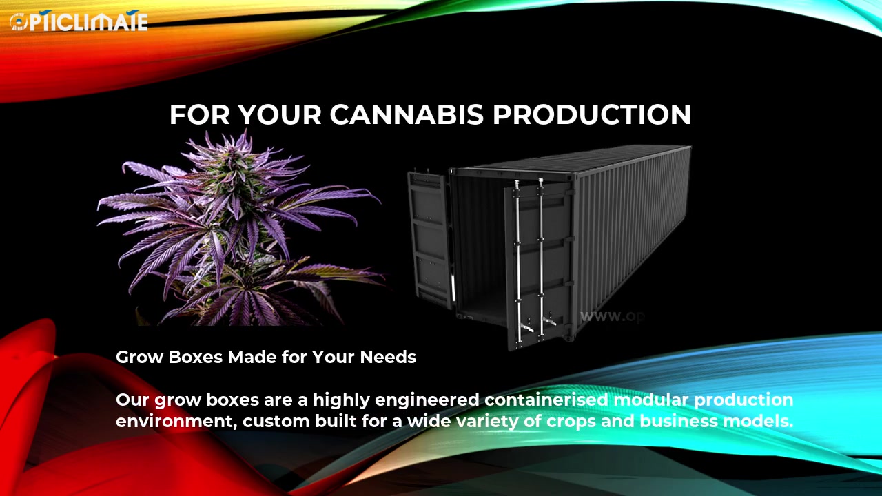 Contenedor de cultivo vertical de cannabis