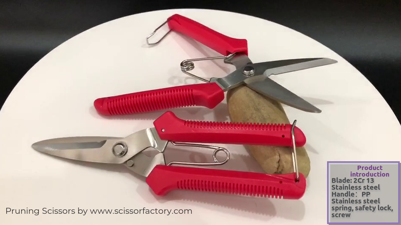 China gardening pruner scissors pruning shears manufacturers
