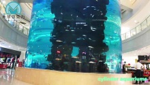 Cylinder aquarium