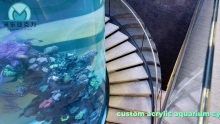 custom acrylic aquarium cylinder Supplier & manufacturers |