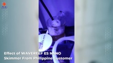 Effect of WAVEREEF ES NANO Skimmer From Philippine Customer