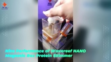 Nice Performance of Wavereef NANO Magnetic Box Protein Skimmer