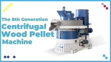 Biomass pellet mill Grass pellet machine Sawdust pellet making machine for hot sale