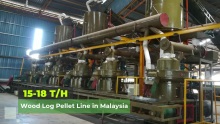 18-24 Tons per Hour Wood Pellet Production Line Wood Log Rice Husk Pellet Mill Sawdust Pellet Machine | YULONG XGJ 850