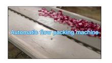 Factory Supplier Cake Pillow Type Flow Packing Machine pillow type bread fruit sealing machine