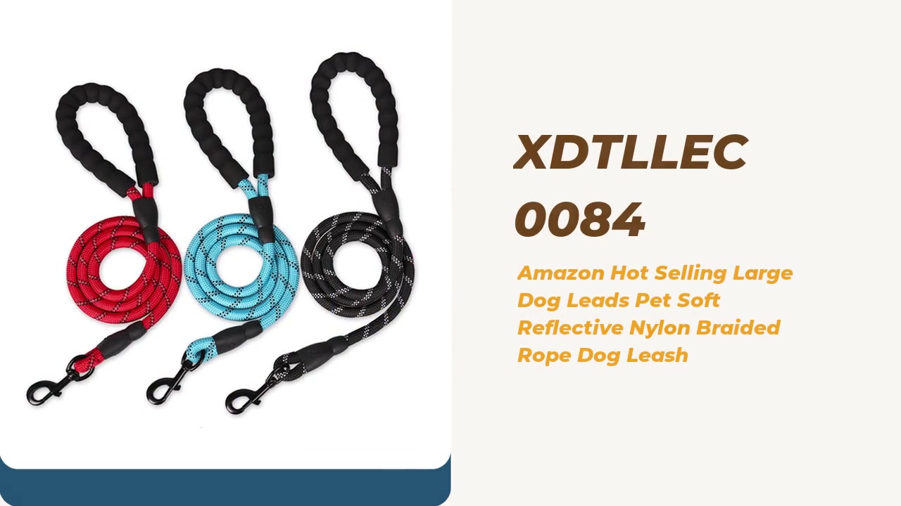 Best Hot Selling Large Dog Leads Pet Soft Reflective Nylon Braided Rope Dog Leash Supplier