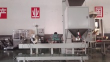 GQ-25 Pet food packaging machine