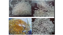 Nutritional Artificial rice production line
