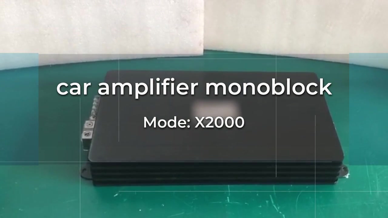 Customized car amplifier monoblock manufacturers From China