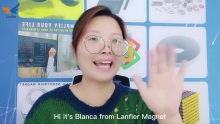 Wholesale What's magnets working temperature? with good price - Lanfier