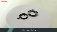 Heterotype Spring