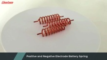Positive and Negative Electrode Battery Spring