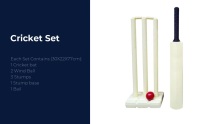 Cricket Set